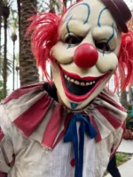 clown costume
